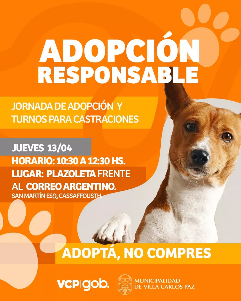 REGION OBJETIVO VILLA CARLOS PAZ ADOPCION MASCOTAS