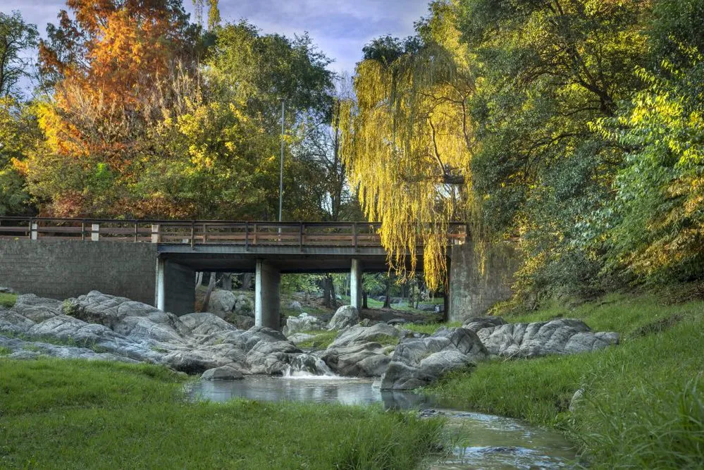 REGION OBJETIVO FOTO VGB OKTOBERFEST ARROYO 3