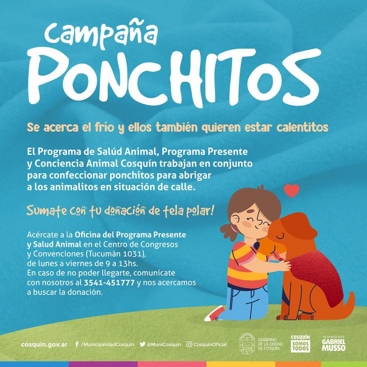 campaña ponchitos