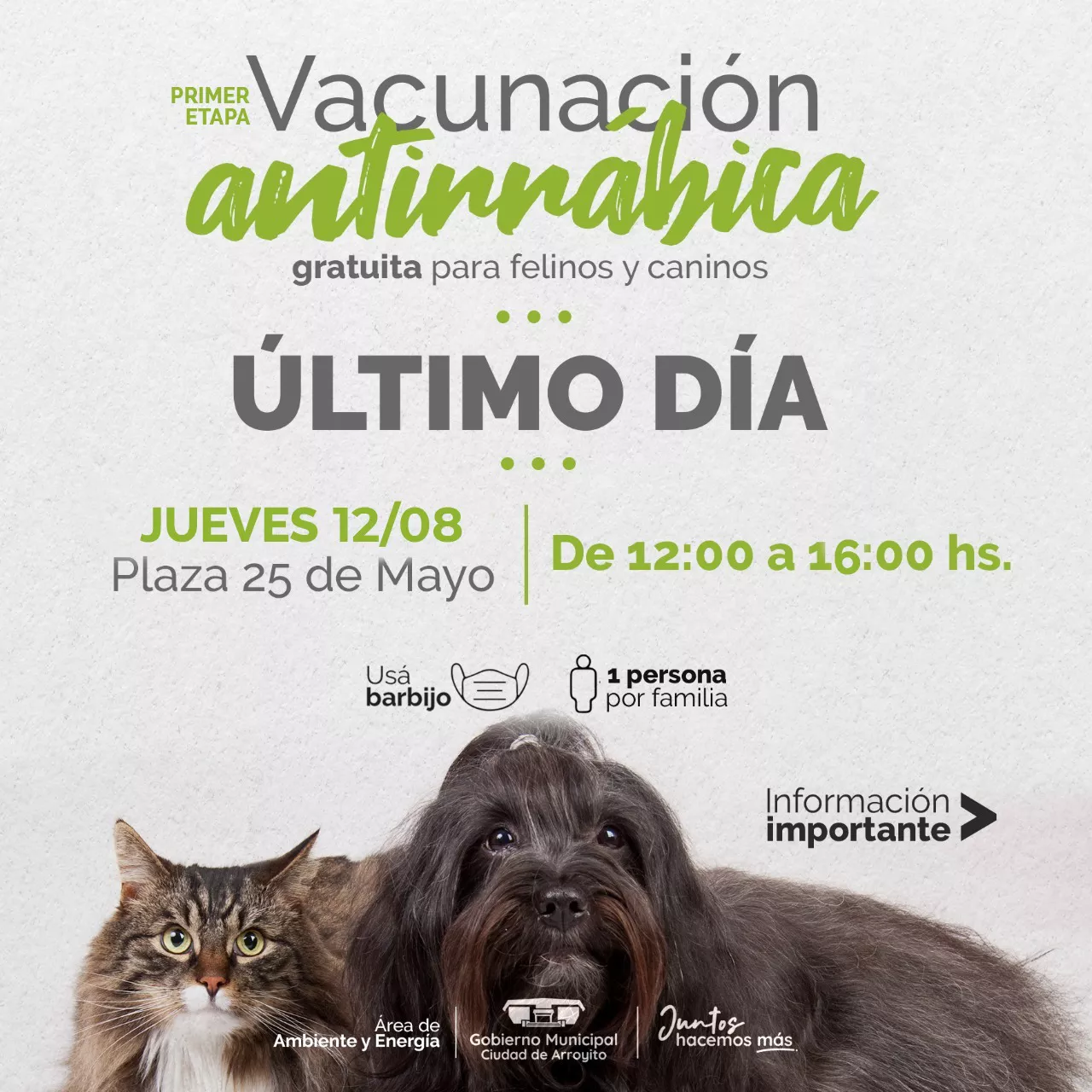 vacunación anitrrábica