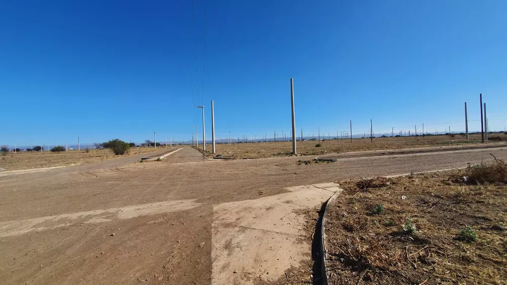 WhatsApp Image 2022-07-28 at 4.03.06 PM (1)