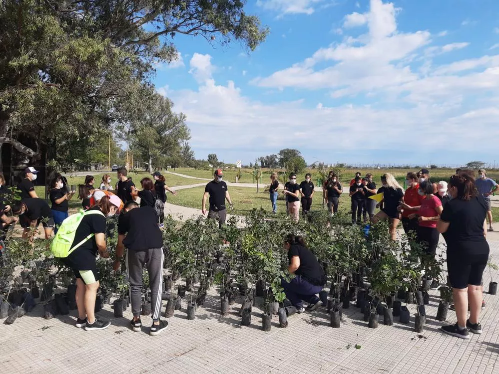 REGION OBJETIVO FOTO SAN FRANCISCO FORESTACION 2