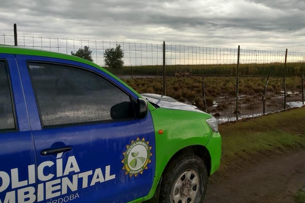 Policía Ambiental
