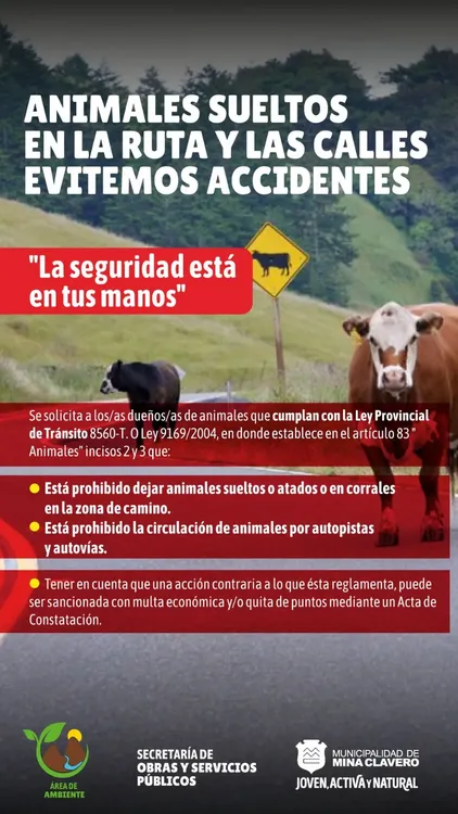 REGION OBJETIVO FOTO MINA CLAVERO ACCIDENTES RUTAS 2