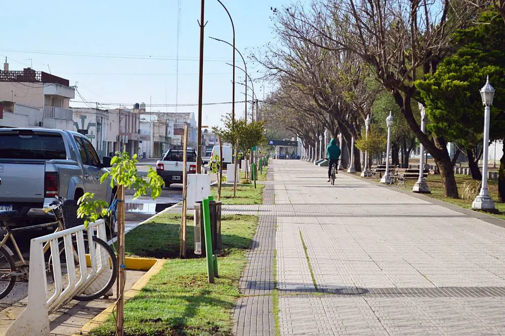 REGION OBJETIVO FOTO OLIVA FORESTACION LAPACHOS 1