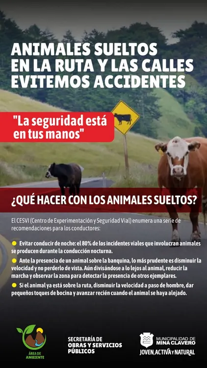 REGION OBJETIVO FOTO MINA CLAVERO ACCIDENTES RUTAS 3