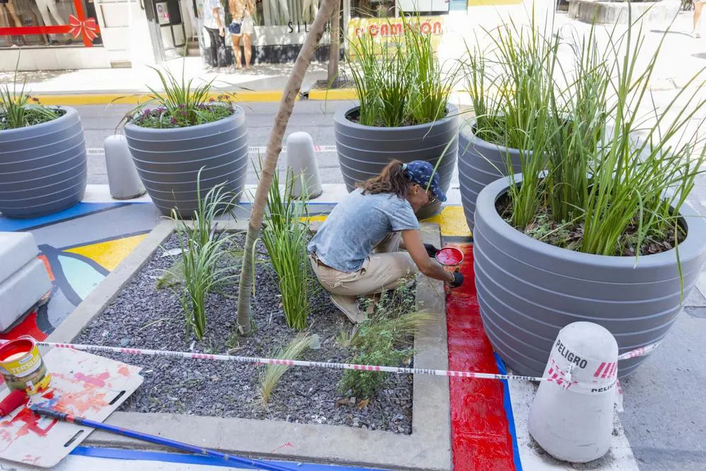 REGION OBJETIVO FOTO RIO CUARTO CENTRO COMERCIAL A CIELO ABIERTO CALLE SOBREMONTE 5