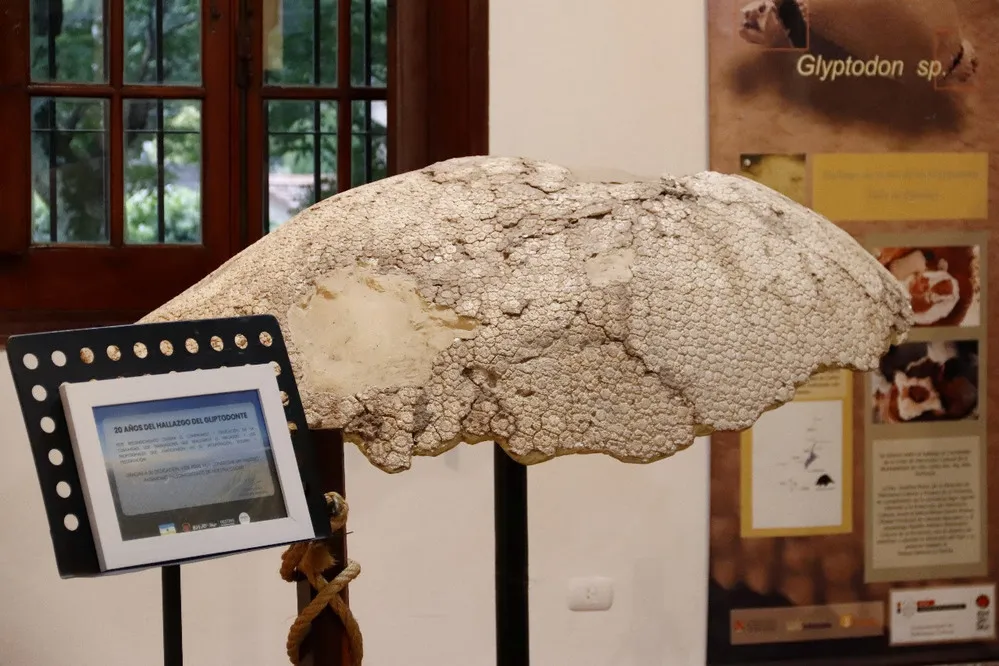 REGION OBJETIVO FOTO VILLA CARLOS PAZ FINDE 081125 7