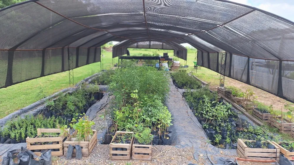 REGION OBJETIVO FOTO SAN FRANCISCO VIVERO MUNICIPAL GEN NATIVO 1