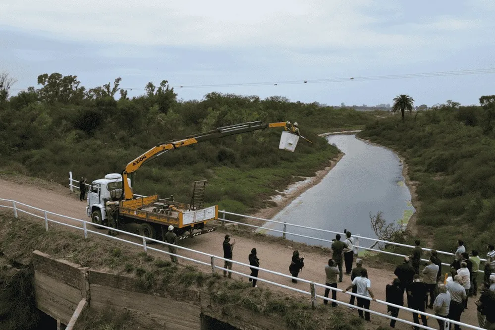 REGION OBJETIVO FOTO ANSENUZA DESVIADORES DE VUELO 2