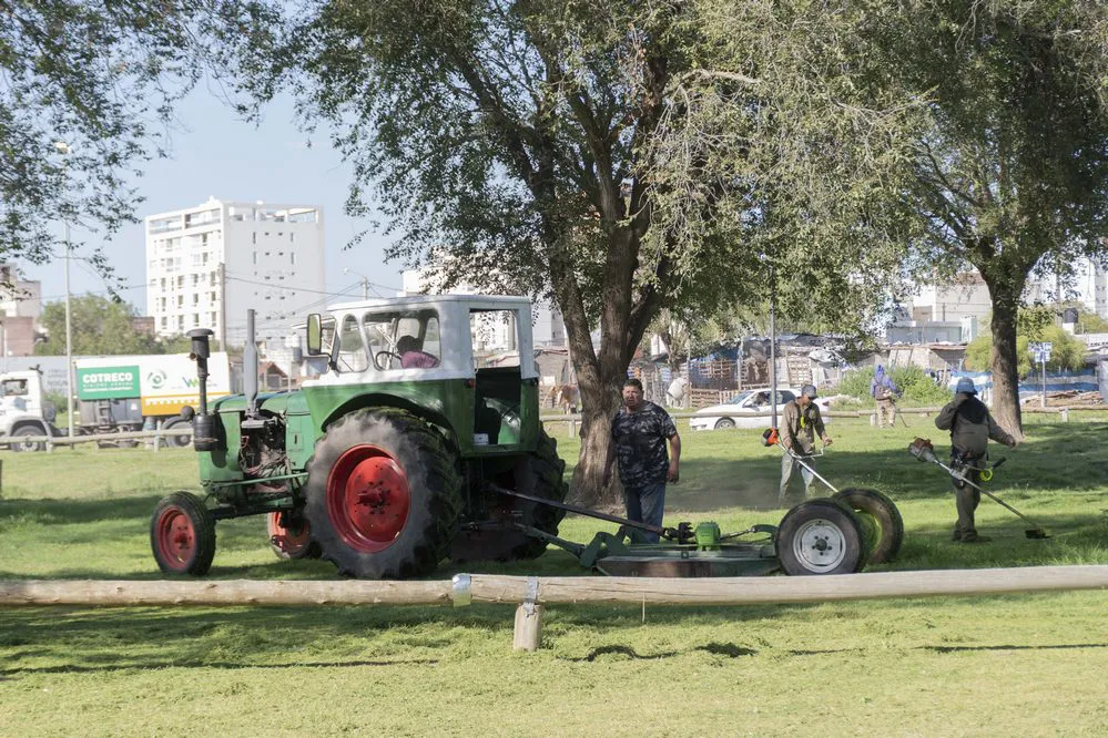 REGION OBJETIVO FOTO RIO CUARTO Trabajos desmalezados 19-01-2024_7