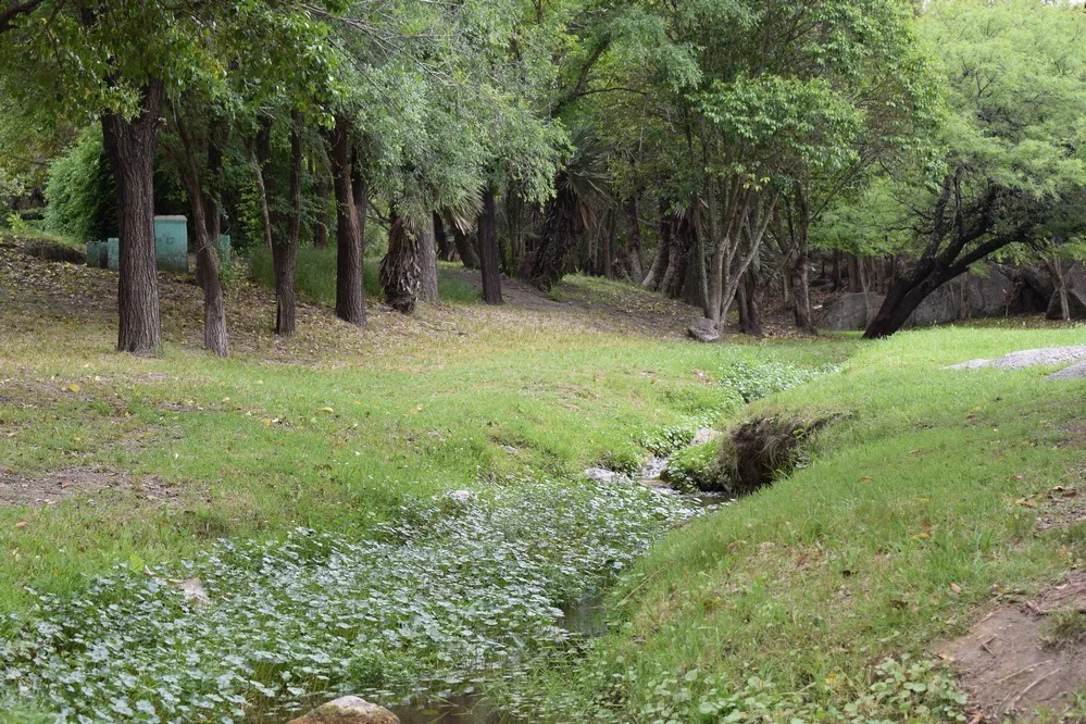 REGION OBJETIVO FOTO TULUMBA DSC_0368