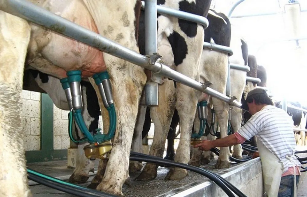 REGION OBJETIVO FOTO MORTEROS CURSO TAMBEROS