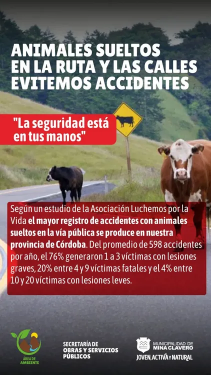 REGION OBJETIVO FOTO MINA CLAVERO ACCIDENTES RUTAS 1