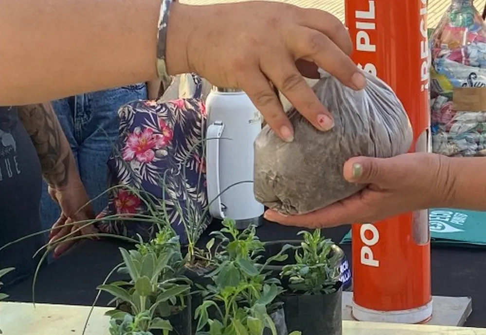 REGION OBJETIVO FOTO VILLA DOLORES ECOCANJES