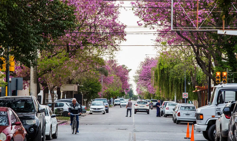 REGION OBJETIVO FOTO BELL VILLE transito-bell-ville