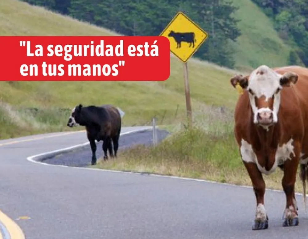 REGION OBJETIVO FOTO MINA CLAVERO ACCIDENTES RUTAS 50