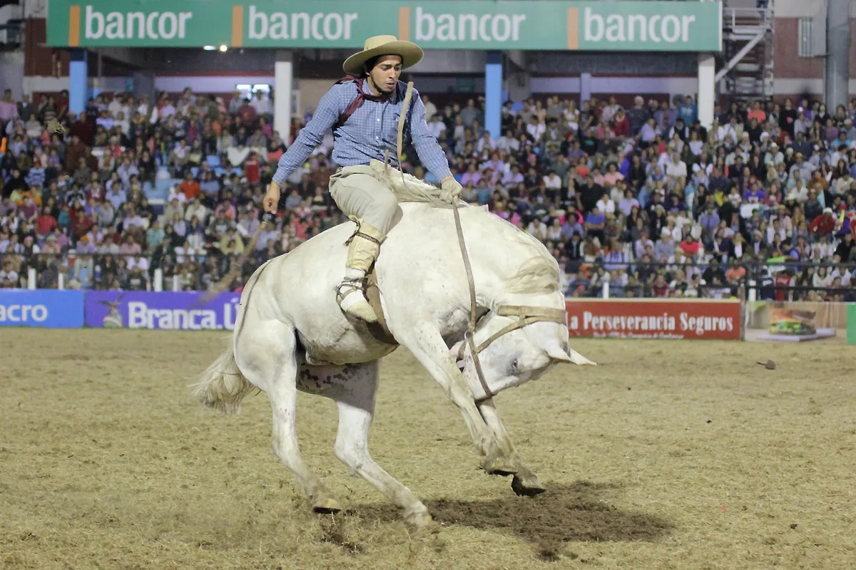 MICRO SITIO MUNICIPIOS NOTA 0030 JESUS MARIA 1