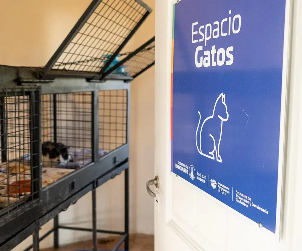 REGION OBJETIVO FOTO RIO CUARTO PP EQUINOS GATOS 2024-06-26 at 09.22.59 (2)