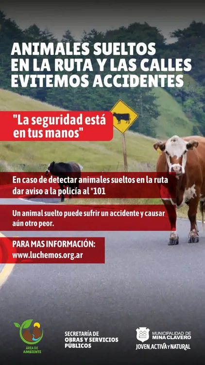 REGION OBJETIVO FOTO MINA CLAVERO ACCIDENTES RUTAS 4