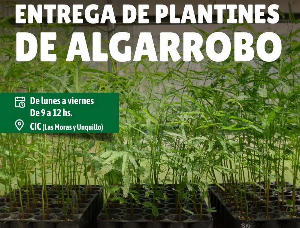 REGION OBJETIVO FOTO MINA CLAVERO PLANTINES ALGARROBO
