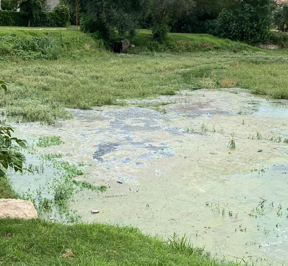 REGION OBJETIVO FOTO VILLA CARLOS PAZ AFLORAMIENTOS CIANOBACTERIAS 2