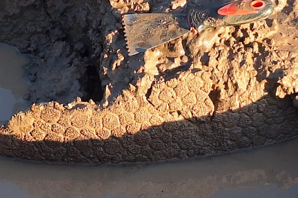 REGION OBJETIVO FOTO PAMPAYASTA Aparicion-gliptodonte-5