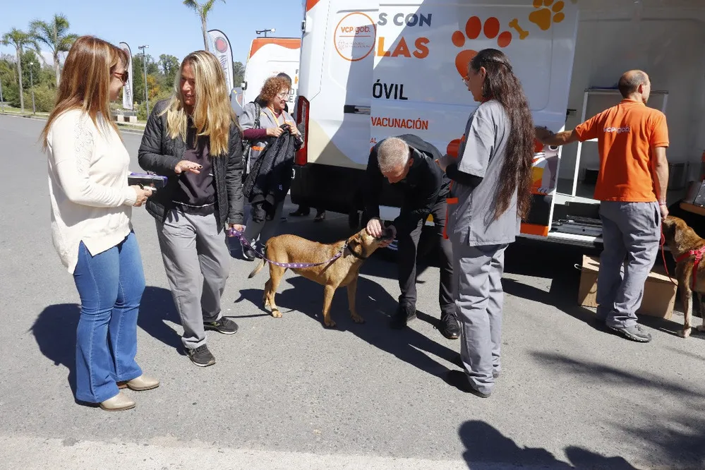 REGION OBJETIVO FOTO VILLA CARLOS PAZ FAMILIA ANIMALES 1