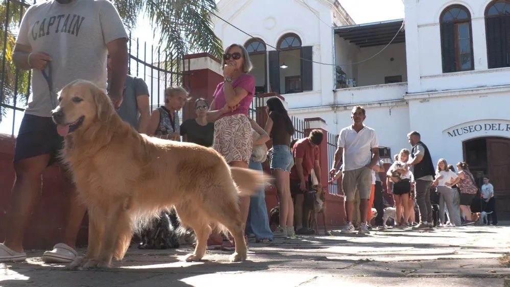 REGION OBJETIVO FOTO RIO CUARTO VACUNACION ANTIRRABICA ANDINO