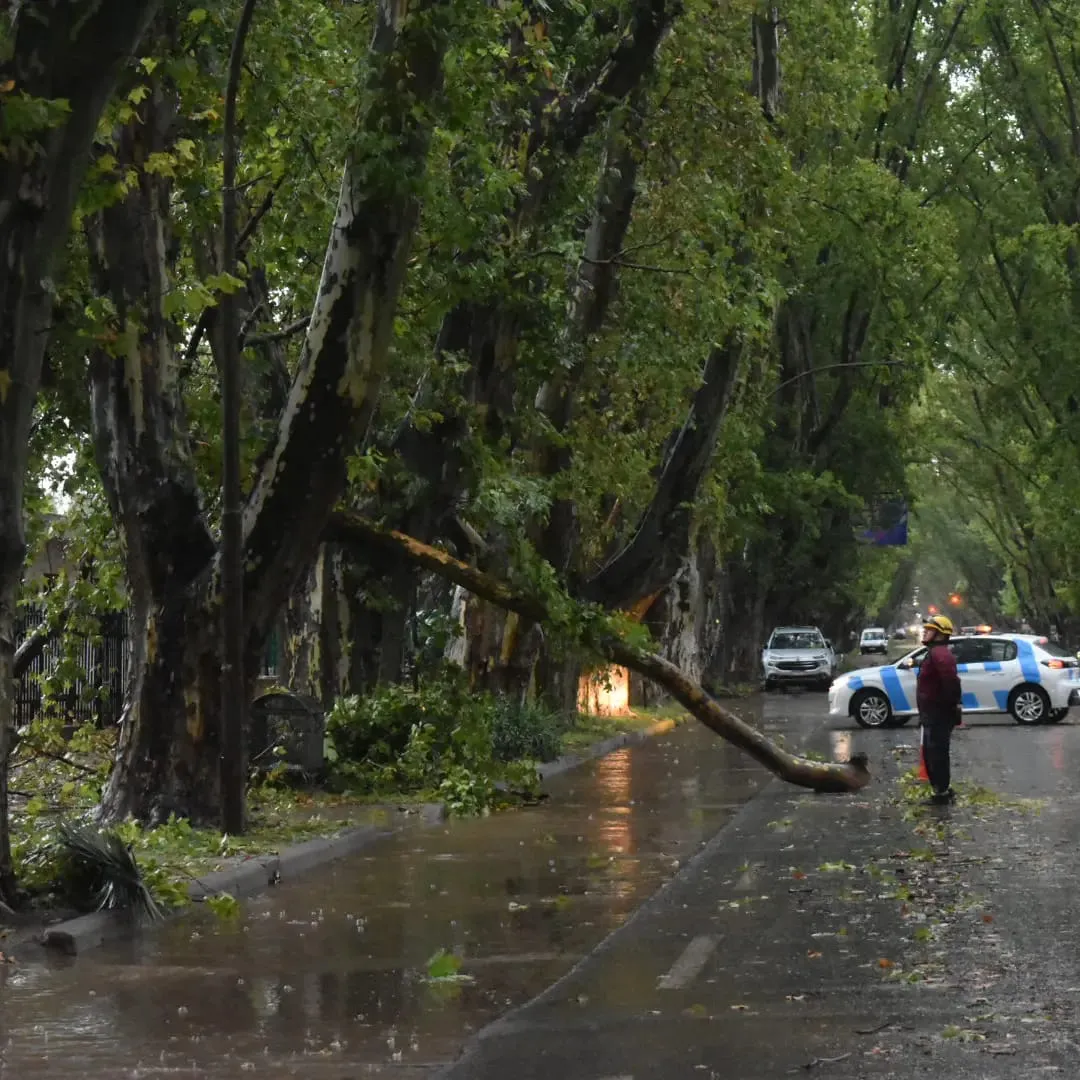 REGION OBJETIVO FOTO CAROYA DAÑOS TORMENTA 2 FACE