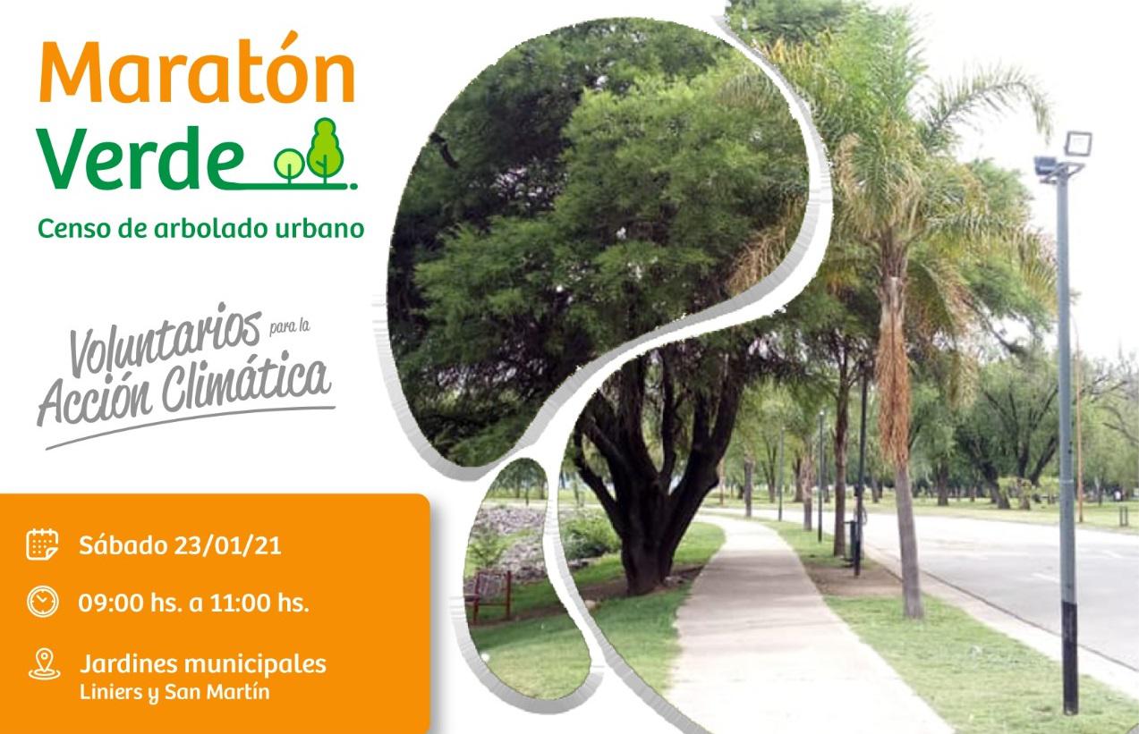 Censo arbolado urbano - VCPaz