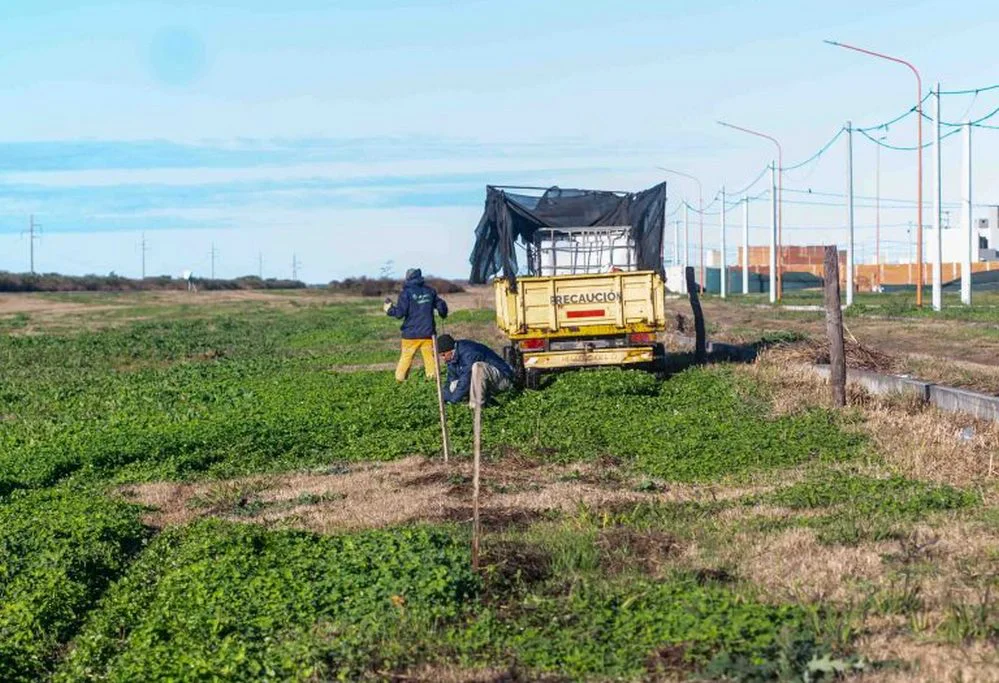 REGION OBJETIVO FOTO ARROYITO FORESTACION BARRIO DON PABLO