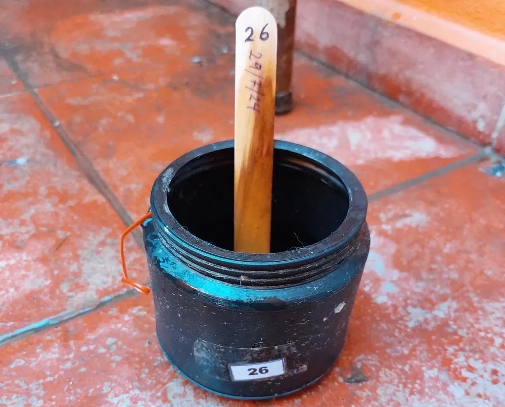 REGION OBJETIVO FOTO SAN FRANCISCO OVITRAMPAS DENGUE 2