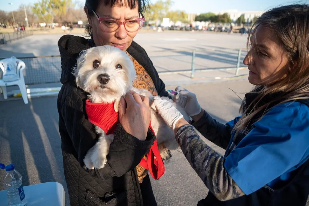 REGION OBJETIVO FOTO RIO CUARTO FERIA DE MASCOTAS VACUNA